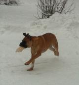 Hilde