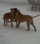 Hilde&Igor
