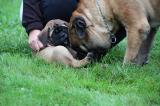 Hyv�sti yksityisyys