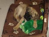 min� itse