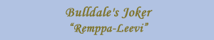 Bulldale's Joker "Remppa-Leevi"