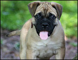 at six weeks