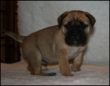 Stoffe at six weeks