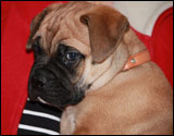 at six weeks