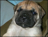 at three weeks