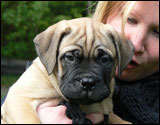 Hilma