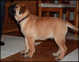 at fifteen weeks