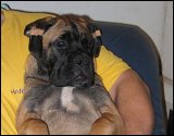 at four months
