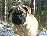 at ten weeks