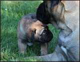 at six weeks