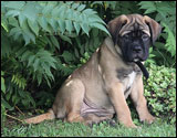 at ten weeks