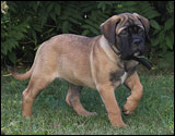 at ten weeks