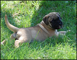 teksti at five weeks