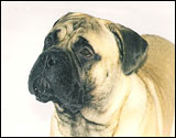Bd's Neptune at one year