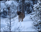 Onni & Nelli