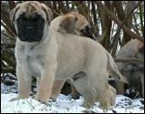 at six weeks
