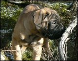 at ten weeks