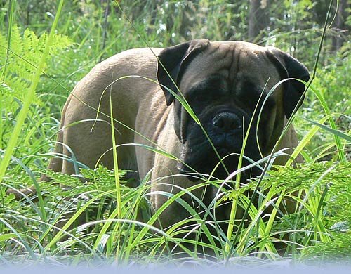 Welcome to our site - Tervetuloa sivuillemme