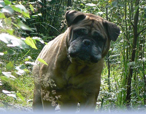 Welcome to our site - Tervetuloa sivuillemme