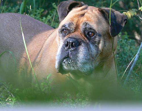 Welcome to our site - Tervetuloa sivuillemme