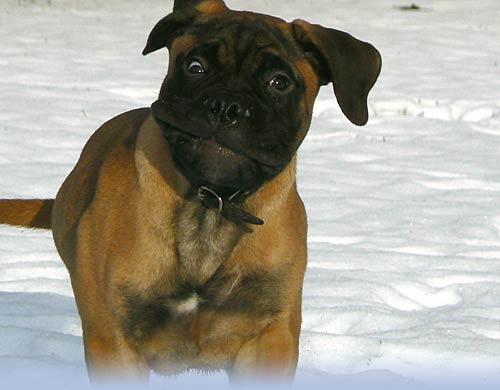 Welcome to our site - Tervetuloa sivuillemme