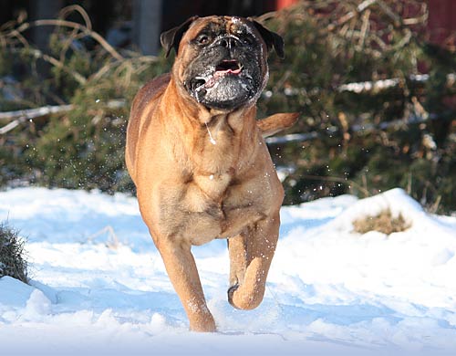 Welcome to our site - Tervetuloa sivuillemme