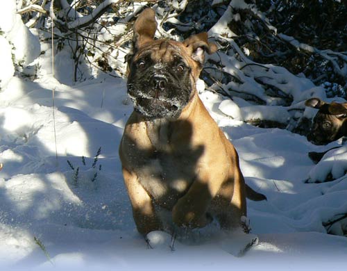 Welcome to our site - Tervetuloa sivuillemme