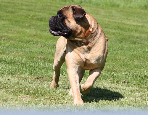 Welcome to our site - Tervetuloa sivuillemme