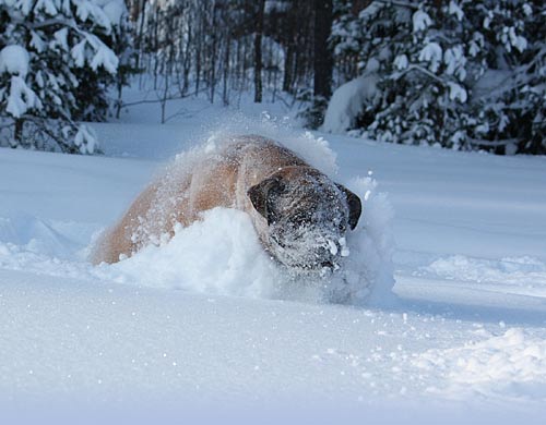 Welcome to our site - Tervetuloa sivuillemme