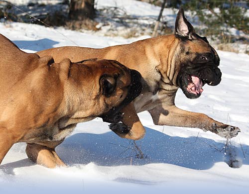 Welcome to our site - Tervetuloa sivuillemme