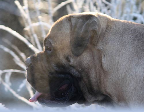 Welcome to our site - Tervetuloa sivuillemme