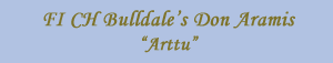 Bulldale's Don Aramis