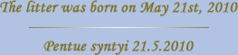 The litter was born on May 21st, 2010 - Pentue syntyi 21.5.2010