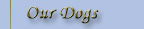 Our Dogs